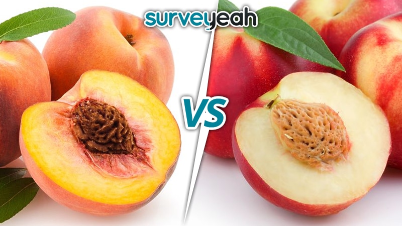 Peach or Nectarine?