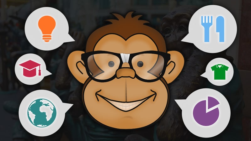 I vostri giudizi su Surveyeah – Un sito dinamico e innovativo! Quell’adorabile scimmietta, poi…